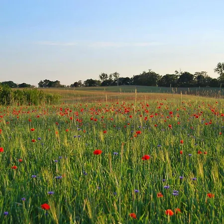 Ferienpark Mirow 3* Миров