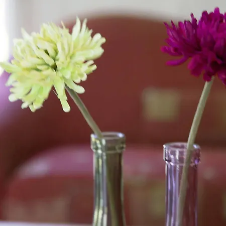 Ferienpark Mirow База отдыха