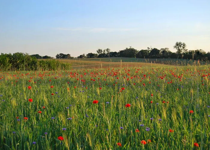 Ferienpark Mirow 3* Mirow